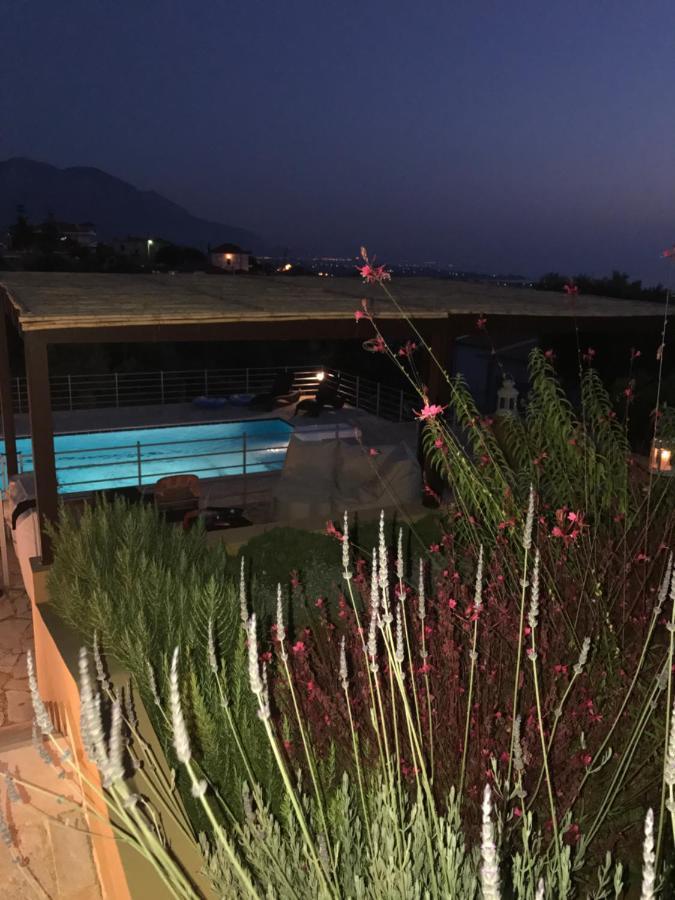 Villa Verde 阿诺卡龙内伦 外观 照片